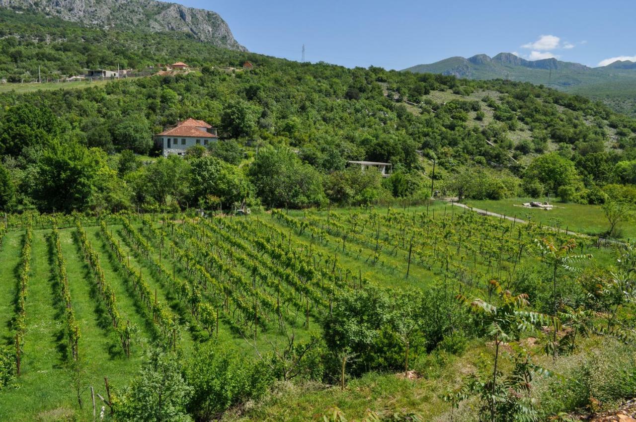 Djukic Winery Apartment Podgorica Bagian luar foto